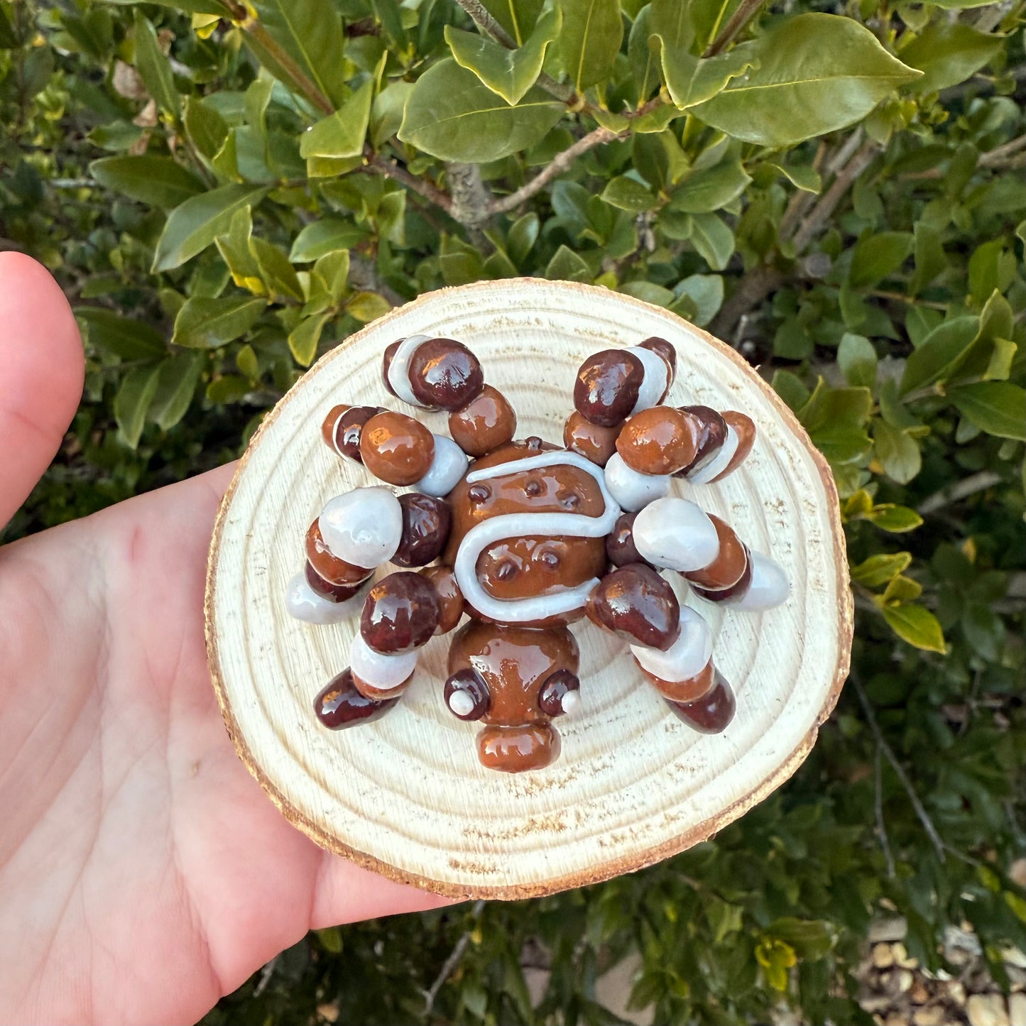 "Chocorantula" Desk Buddy